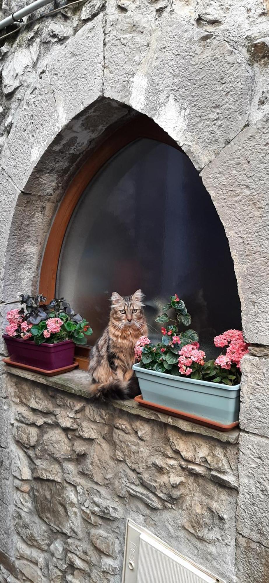 Gite Des Remparts Lucéram 외부 사진
